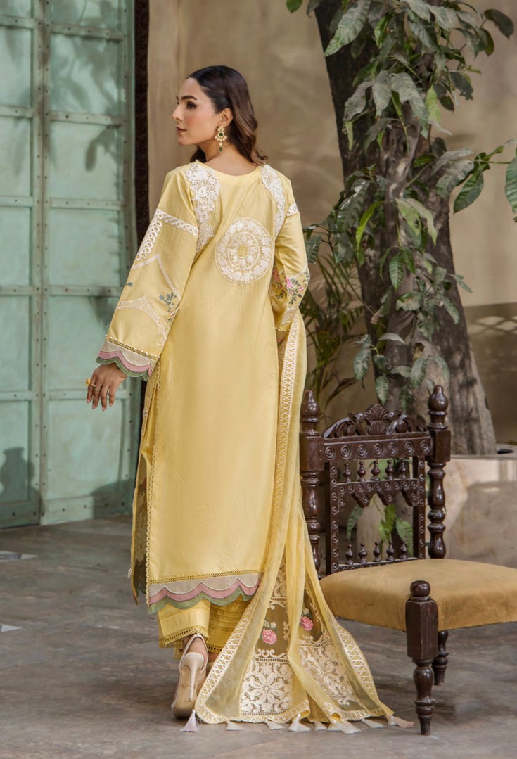 EshaAisha original Designer_100137 Pakistani ladies suit B125