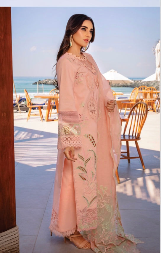 Rang Rasiya original designer lawn_9036 Pakistani ladies suit B84