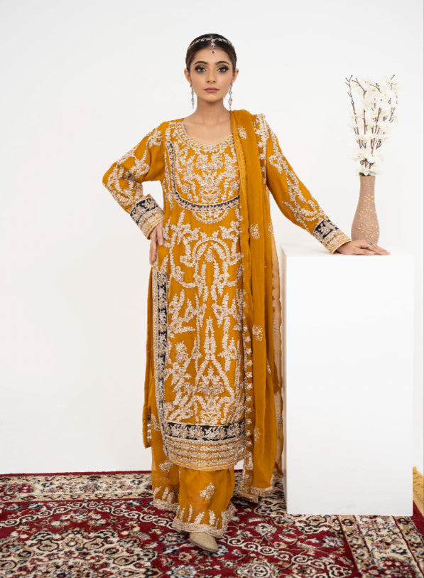 Brit 3 piece luxury chiffon_81042 Pakistani ladies suit B243