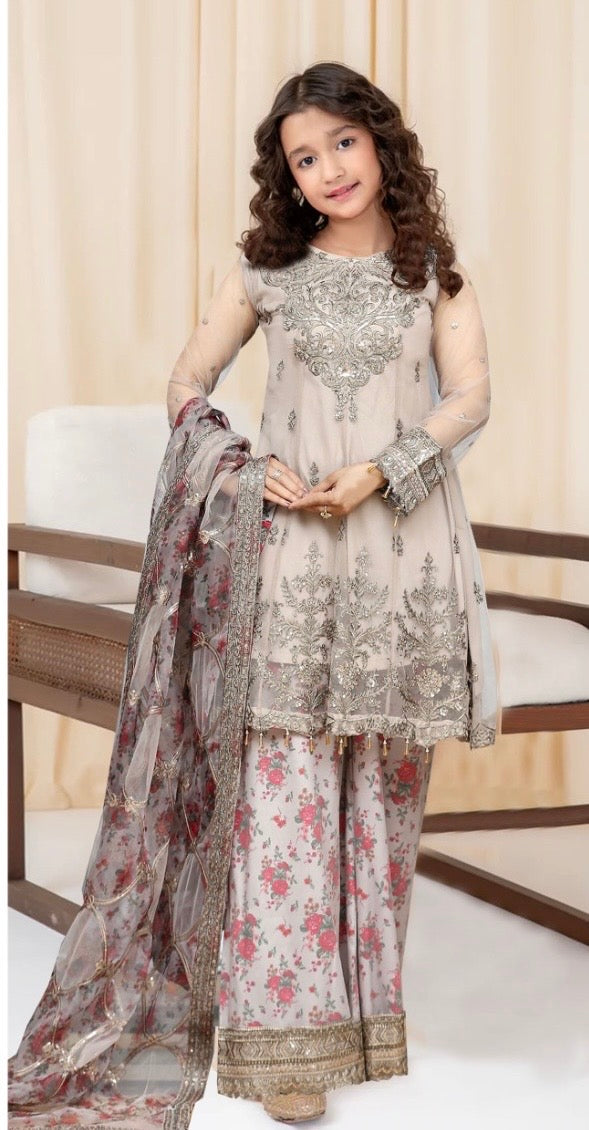 Mother and daughter Brit Net_81045 Pakistani ladies suit B195