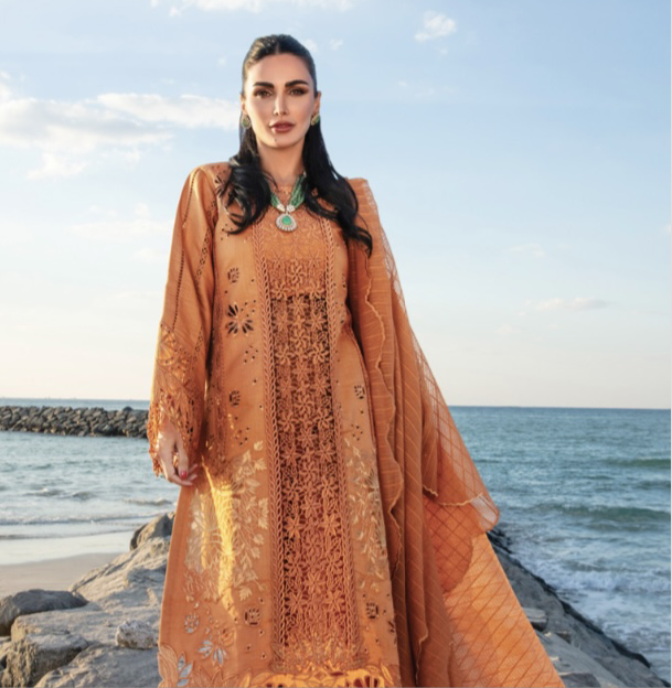 Rang Rasiya original designer lawn_9040 Pakistani ladies suit B84
