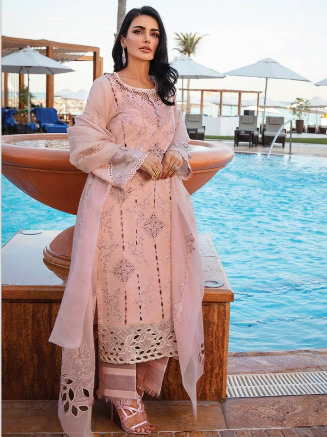 Rang Rasiya original designer lawn_9030 Pakistani ladies suit B84