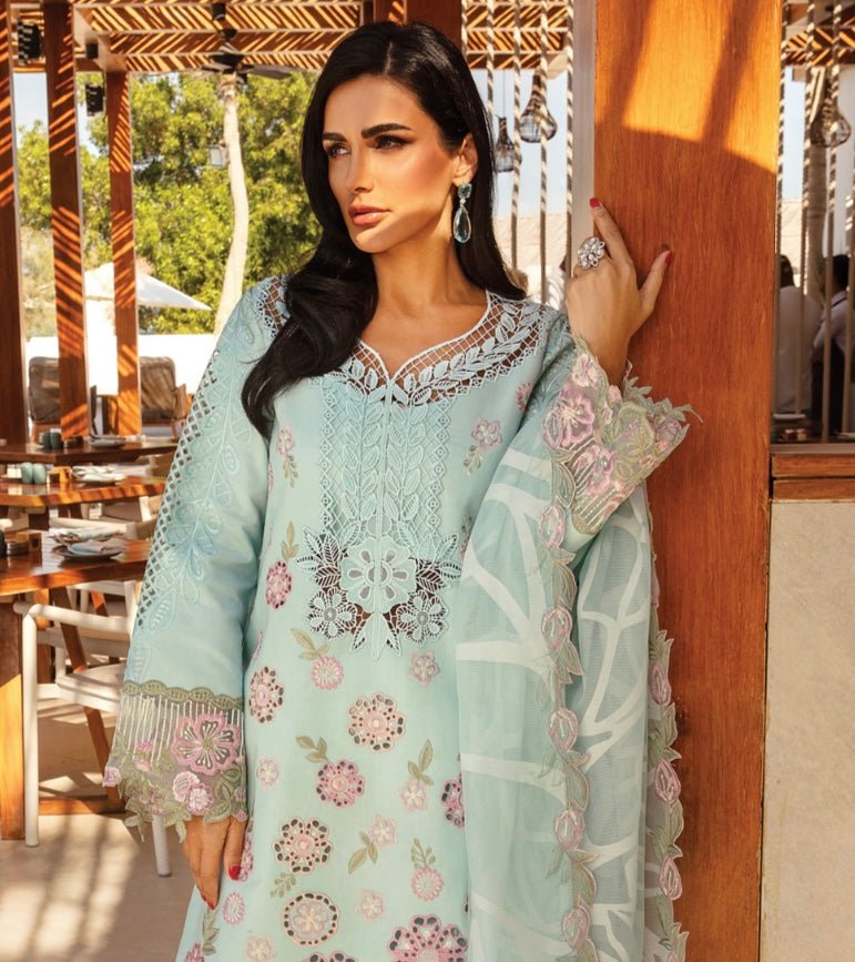 Rang Rasiya original designer lawn_9033 Pakistani ladies suit B84