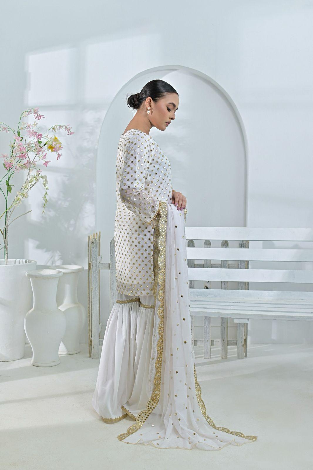 Brit party wear chiffon_ 3035 P3