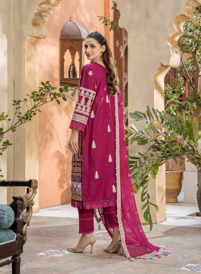 EshaAisha original Designer_100138 Pakistani ladies suit B125
