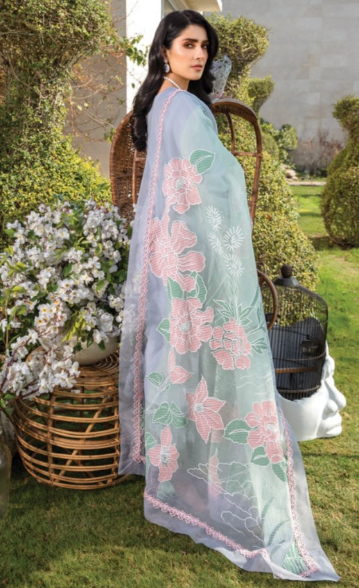 Rang Rasiya lawn_1898 Pakistani ladies suit RG1