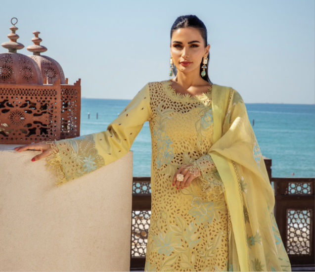 Rang Rasiya original designer lawn_9041 Pakistani ladies suit B84