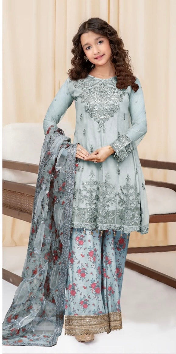Mother and daughter Brit Net_81045 Pakistani ladies suit B195