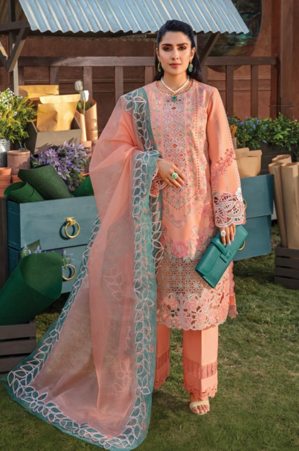 Rang Rasiya lawn_1888 Pakistani ladies suit RG1