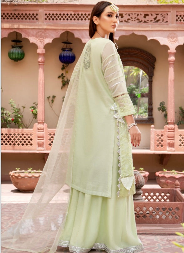 Raniya Designer 3 piece chicken kari _8045 Pakistani suits RCL