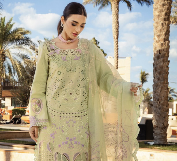 Rang Rasiya original designer lawn_9039 Pakistani ladies suit B84