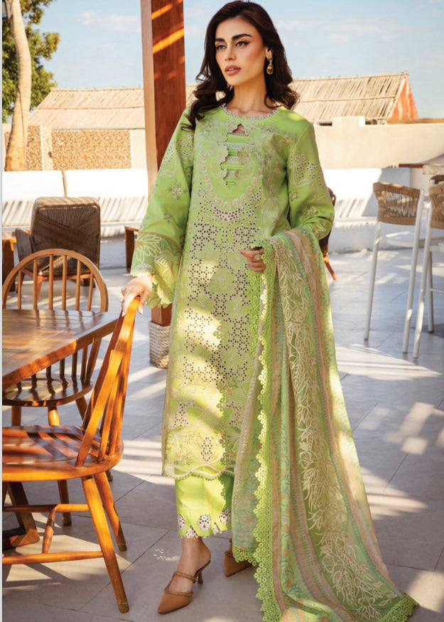 Rang Rasiya original designer lawn_9031 Pakistani ladies suit B84