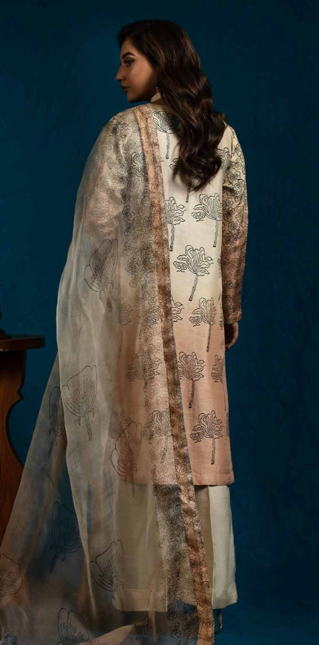 Raniya Designer 3 piece Raw silk_8050 Pakistani suits RCL