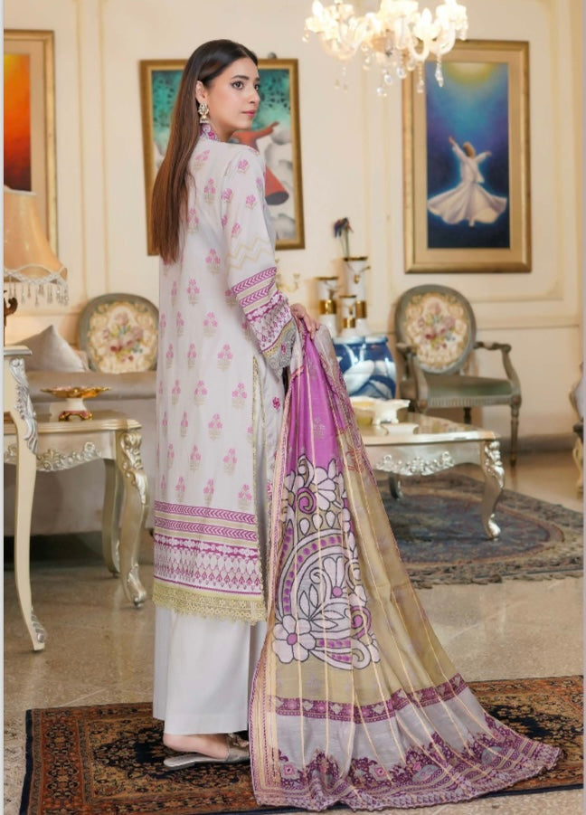 Munira linen 3 piece_1992 Pakistani ladies suit B63