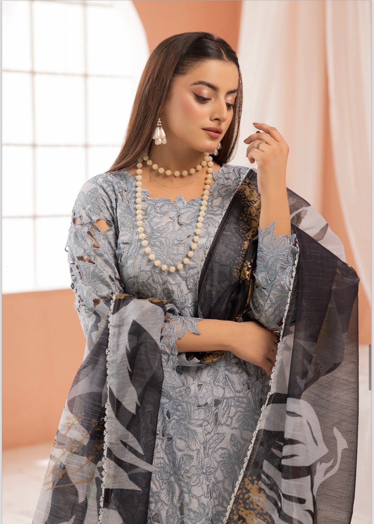 Rang Rasiya inspired 3 piece Chicken kari_7072 ladies suit B51