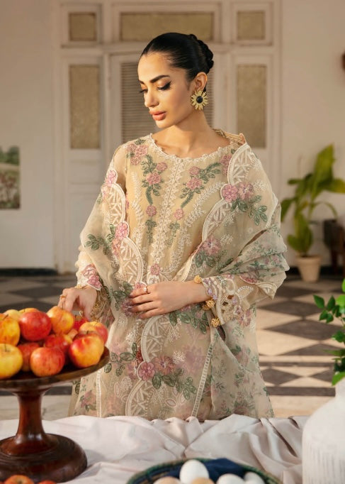 Brit Ramsha luxury chiffon_6091 ladies suit B40