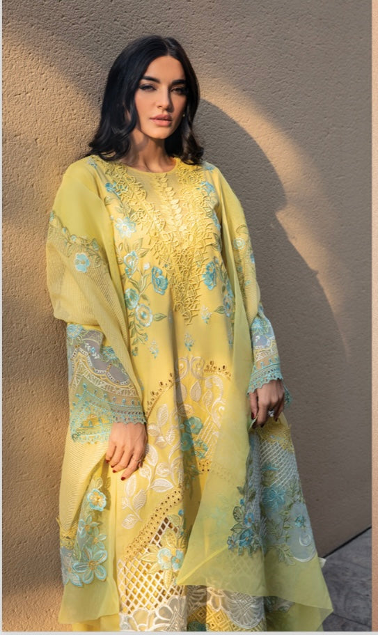 Rang Rasiya lawn_1831 Pakistani ladies suit RG1