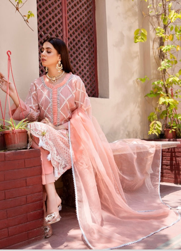 Raniya Designer 3 piece chicken kari _8046 Pakistani suits RCL