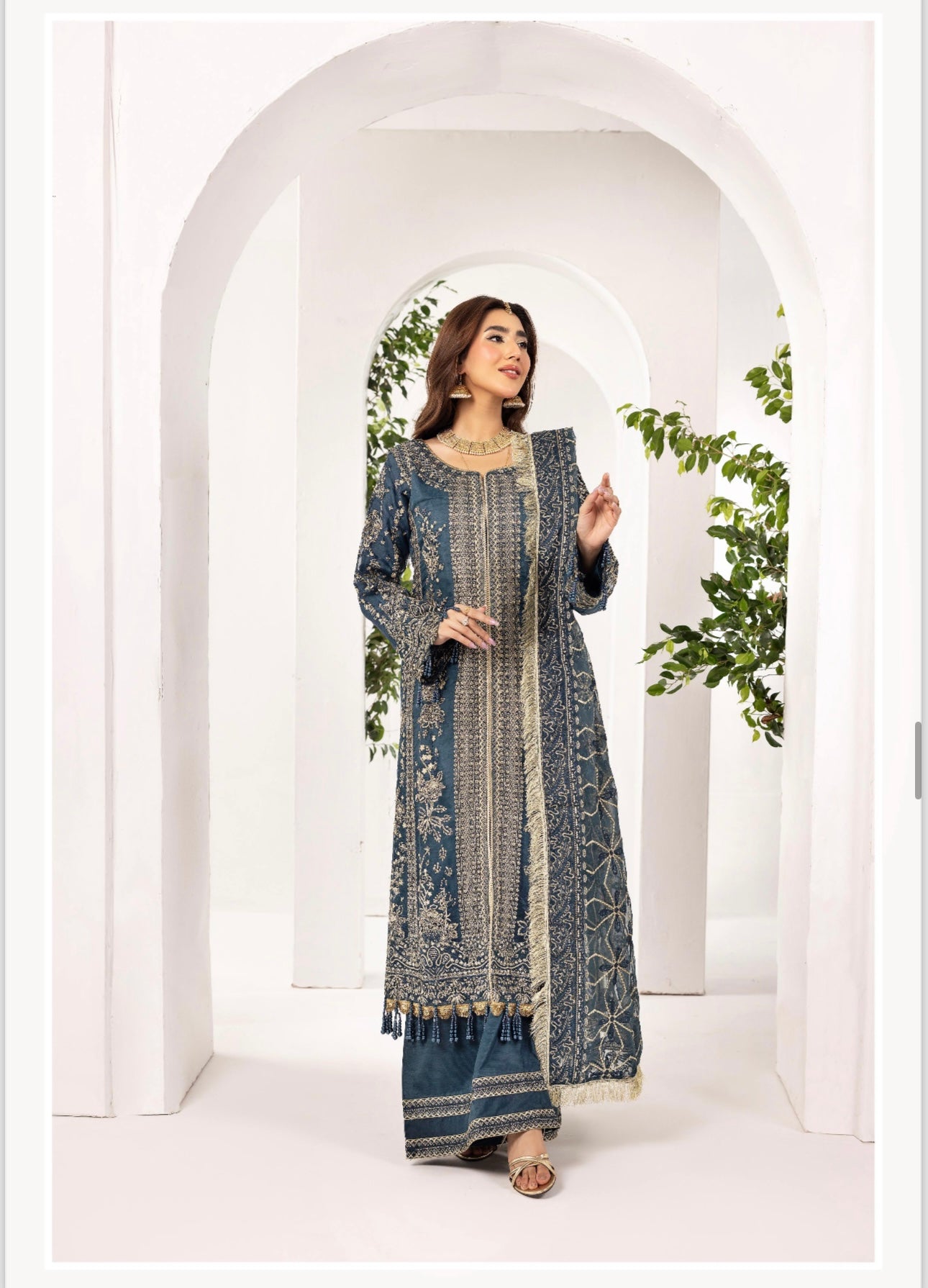 Nureh “3 piece luxury organza_81042 Pakistani ladies suit B194