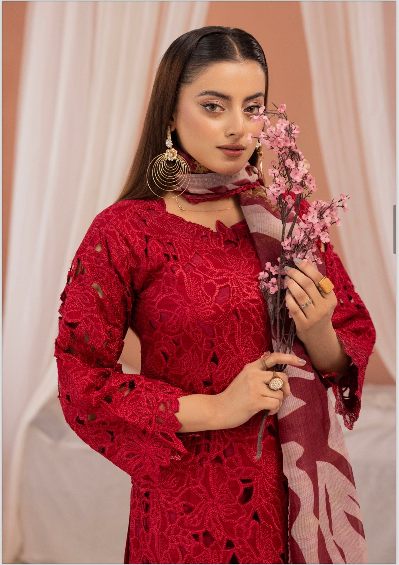Rang Rasiya inspired 3 piece Chicken kari_7071 ladies suit B51
