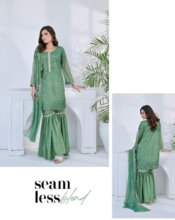 Brit party wear chiffon_ 3030 P3