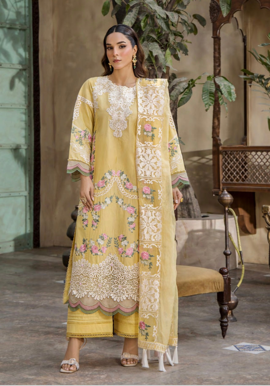 EshaAisha original Designer_100137 Pakistani ladies suit B125