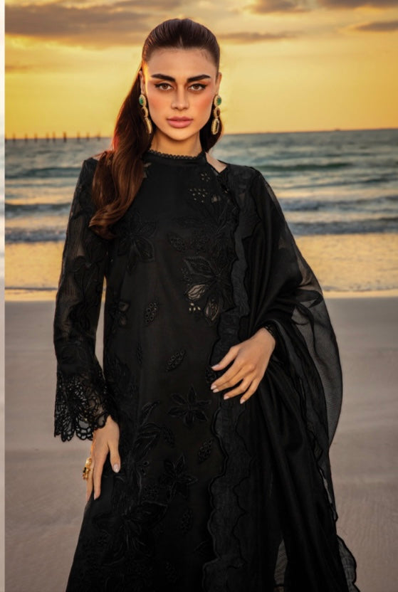Rang Rasiya original designer lawn_9042 Pakistani ladies suit B84