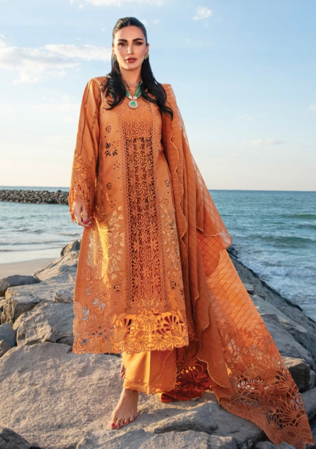 Rang Rasiya original designer lawn_9040 Pakistani ladies suit B84
