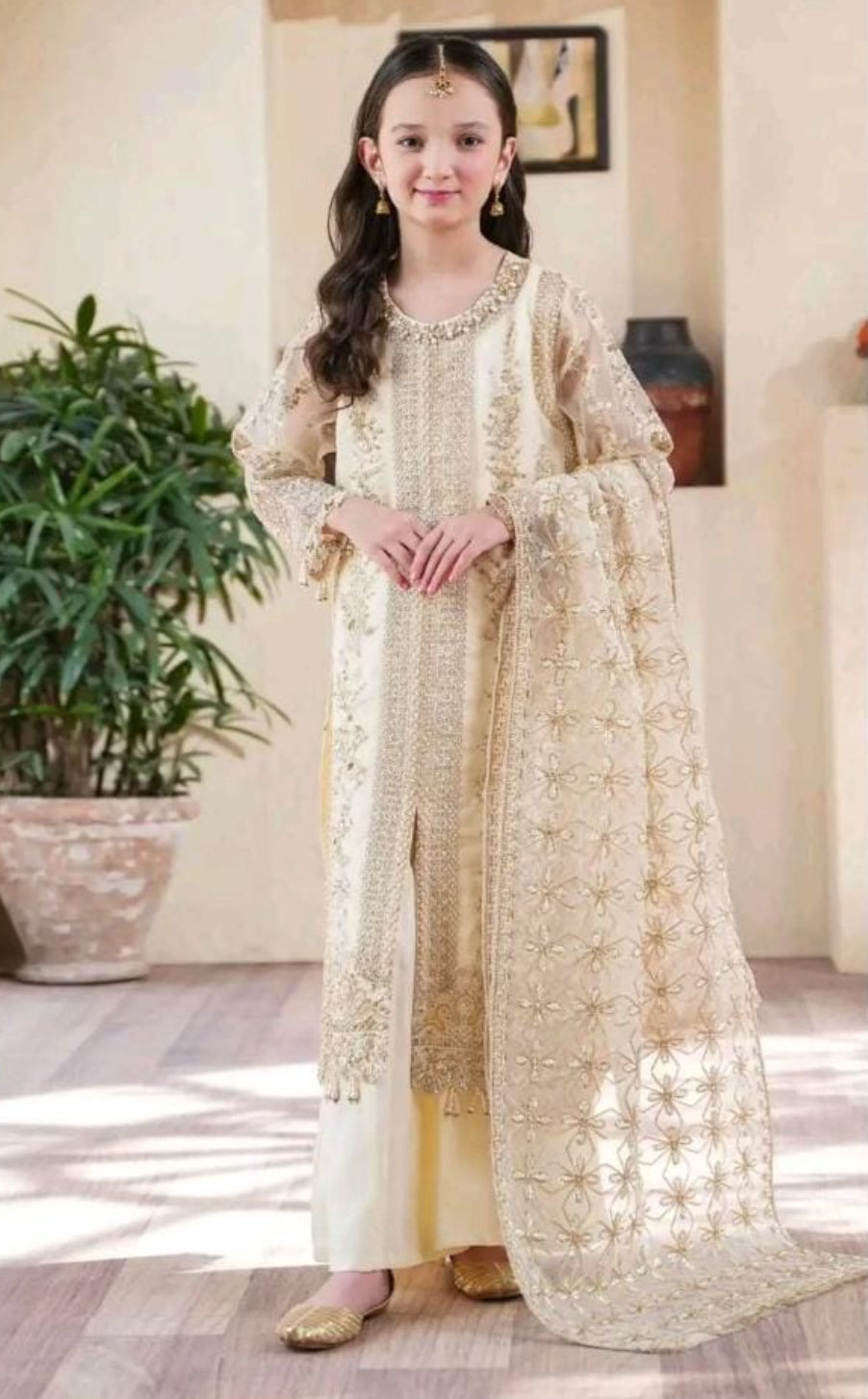Nureh “3 piece luxury organza_81042 Pakistani ladies suit B194