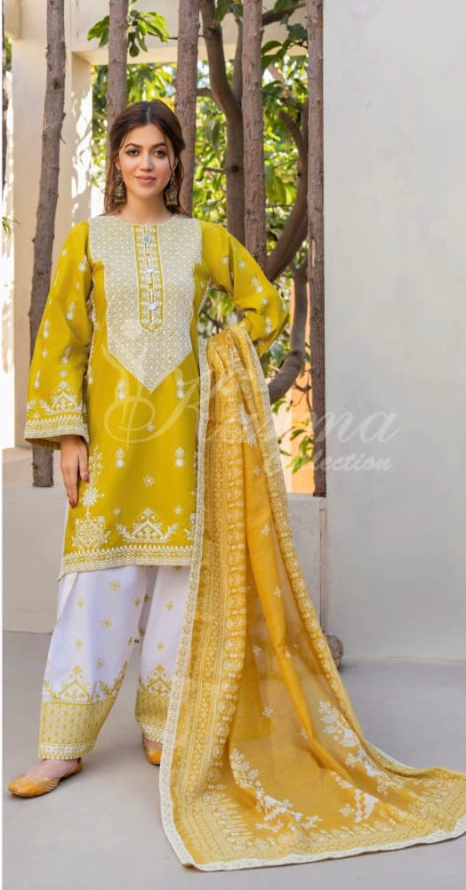 Farshi Karma 3 piece luxury cotton _100100 B116