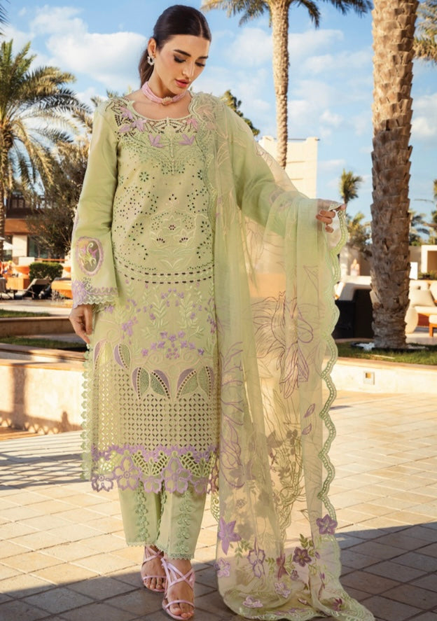 Rang Rasiya original designer lawn_9039 Pakistani ladies suit B84