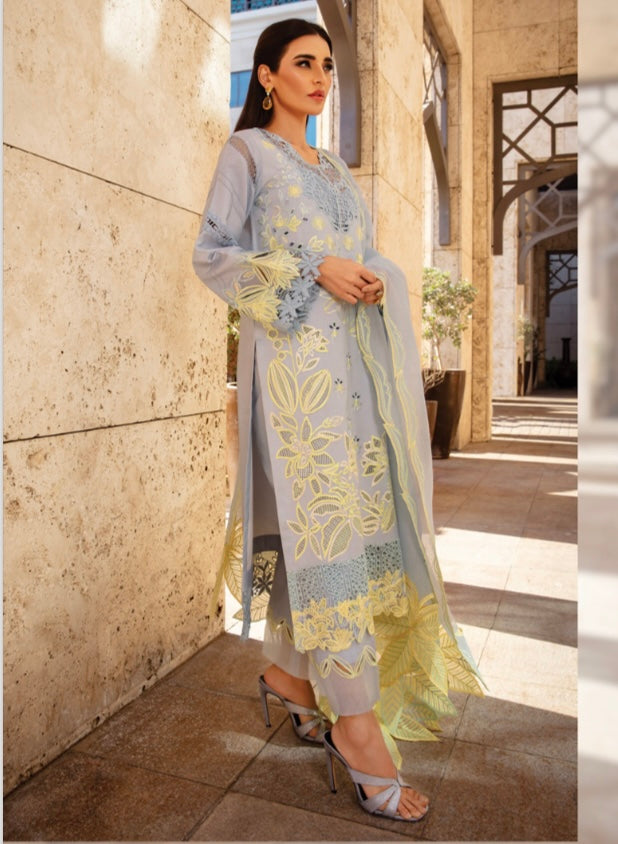 Rang Rasiya original designer lawn_9037 Pakistani ladies suit B84