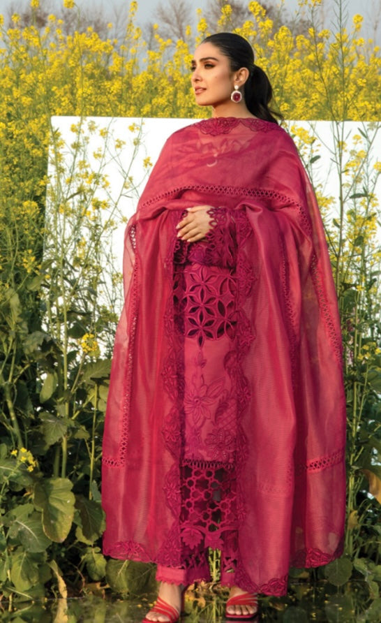 Rang Rasiya lawn_1893 Pakistani ladies suit RG1