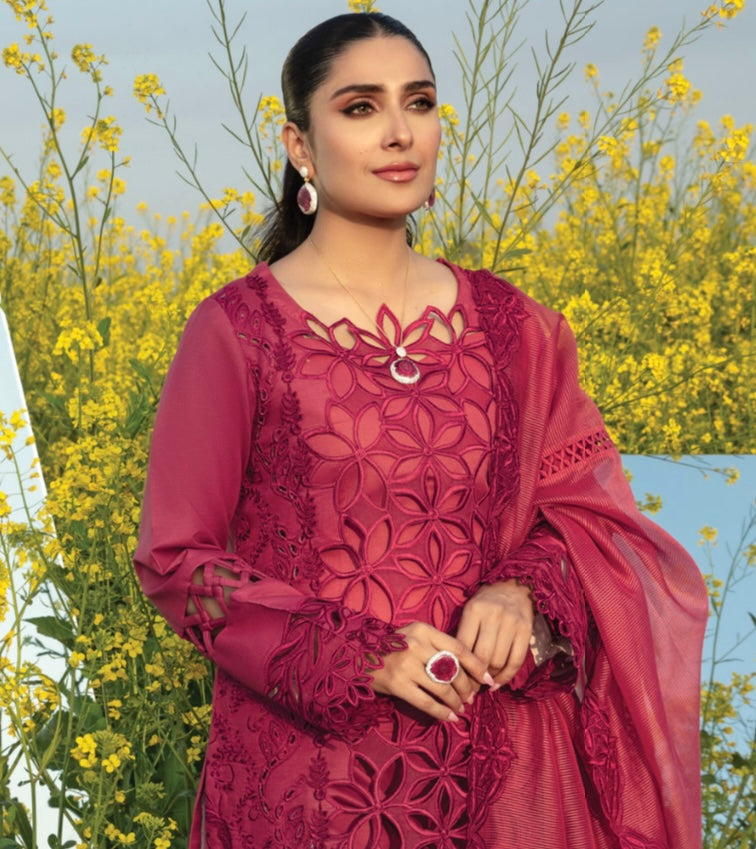 Rang Rasiya lawn_1893 Pakistani ladies suit RG1