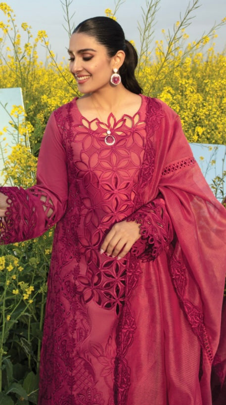 Rang Rasiya lawn_1893 Pakistani ladies suit RG1