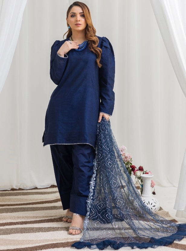 FARSHI SHALWAR 3 piece Raw silk_10085 Pakistani suits for ladies B114