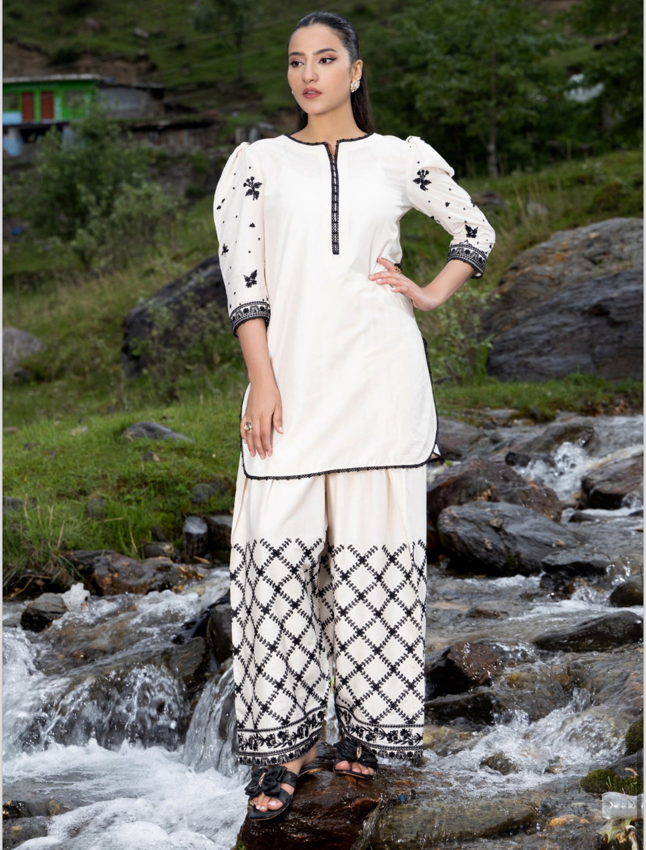 Brit 2 piece luxury lawn _81042 Pakistani ladies suit B218