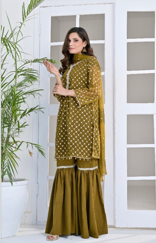 Brit party wear chiffon_ 3032 P3