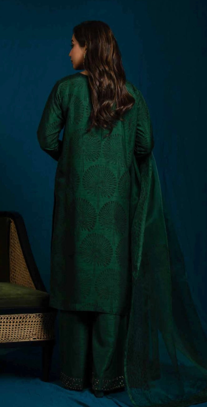 Raniya Designer 3 piece raw silk _8053 Pakistani suits RCL