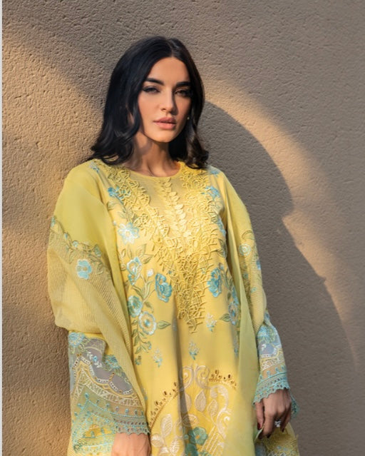 Rang Rasiya lawn_1831 Pakistani ladies suit RG1