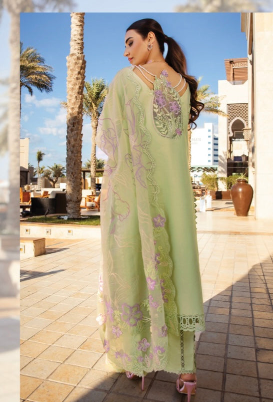 Rang Rasiya original designer lawn_9039 Pakistani ladies suit B84