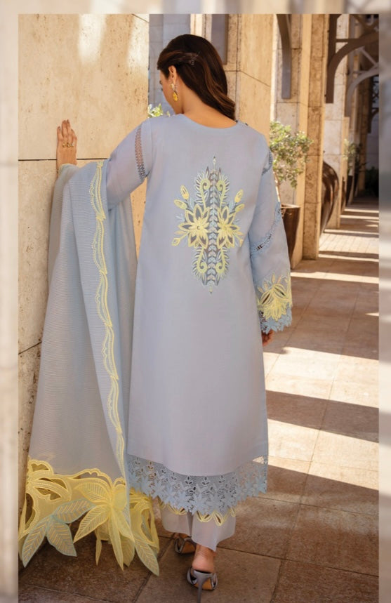 Rang Rasiya original designer lawn_9037 Pakistani ladies suit B84