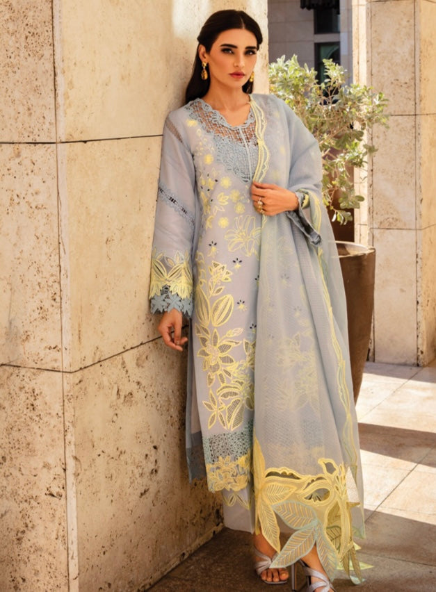 Rang Rasiya original designer lawn_9037 Pakistani ladies suit B84