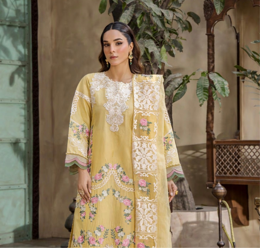 EshaAisha original Designer_100137 Pakistani ladies suit B125