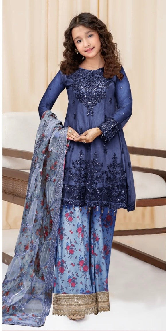 Mother and daughter Brit Net_81045 Pakistani ladies suit B195