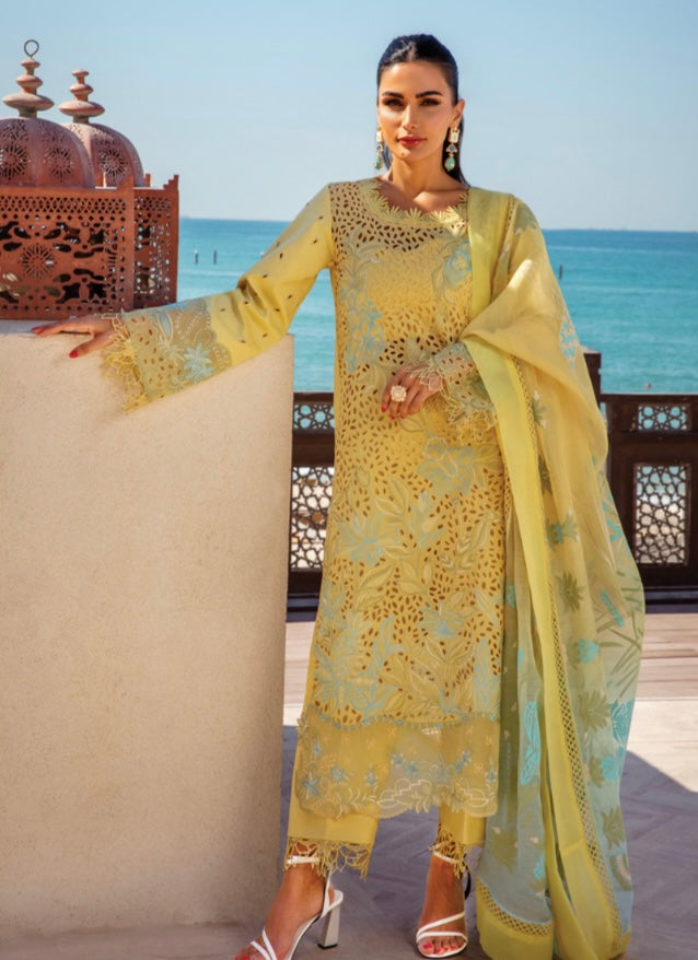 Rang Rasiya original designer lawn_9041 Pakistani ladies suit B84