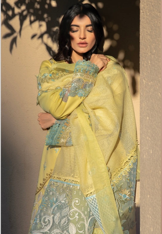 Rang Rasiya lawn_1831 Pakistani ladies suit RG1