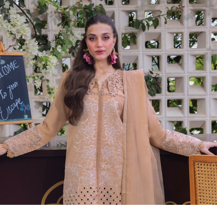 Rang Rasiya original designer lawn_81025 Pakistani ladies suit B175