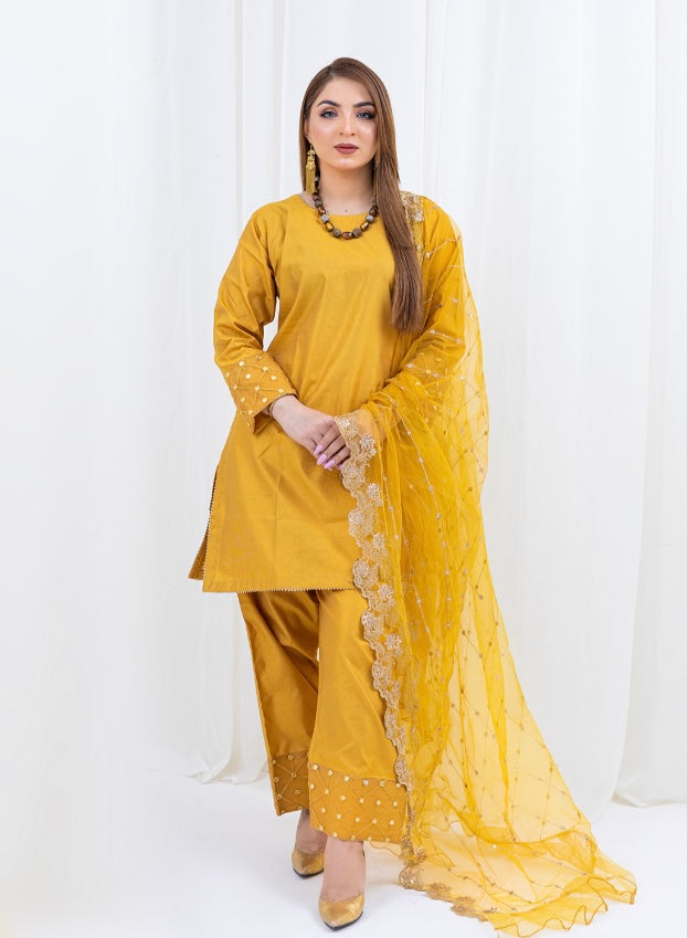 Brit 3 piece Farshi Salwar silk _100275 ladies suit B152