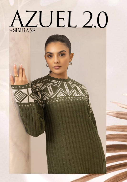 Brit 2 piece modest wear _81042 Pakistani ladies suit B268